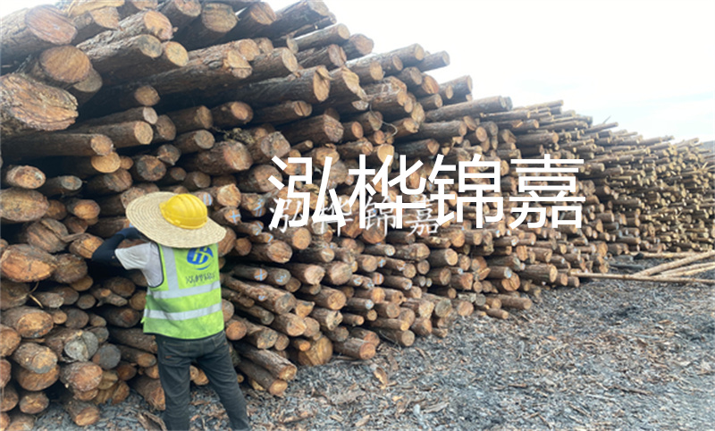 15米50公分大杉木價(jià)格：了解大杉木的市場行情